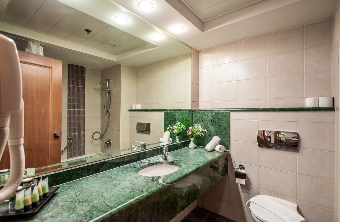 Nof Kinneret Hotel - Shower and toilette in the room